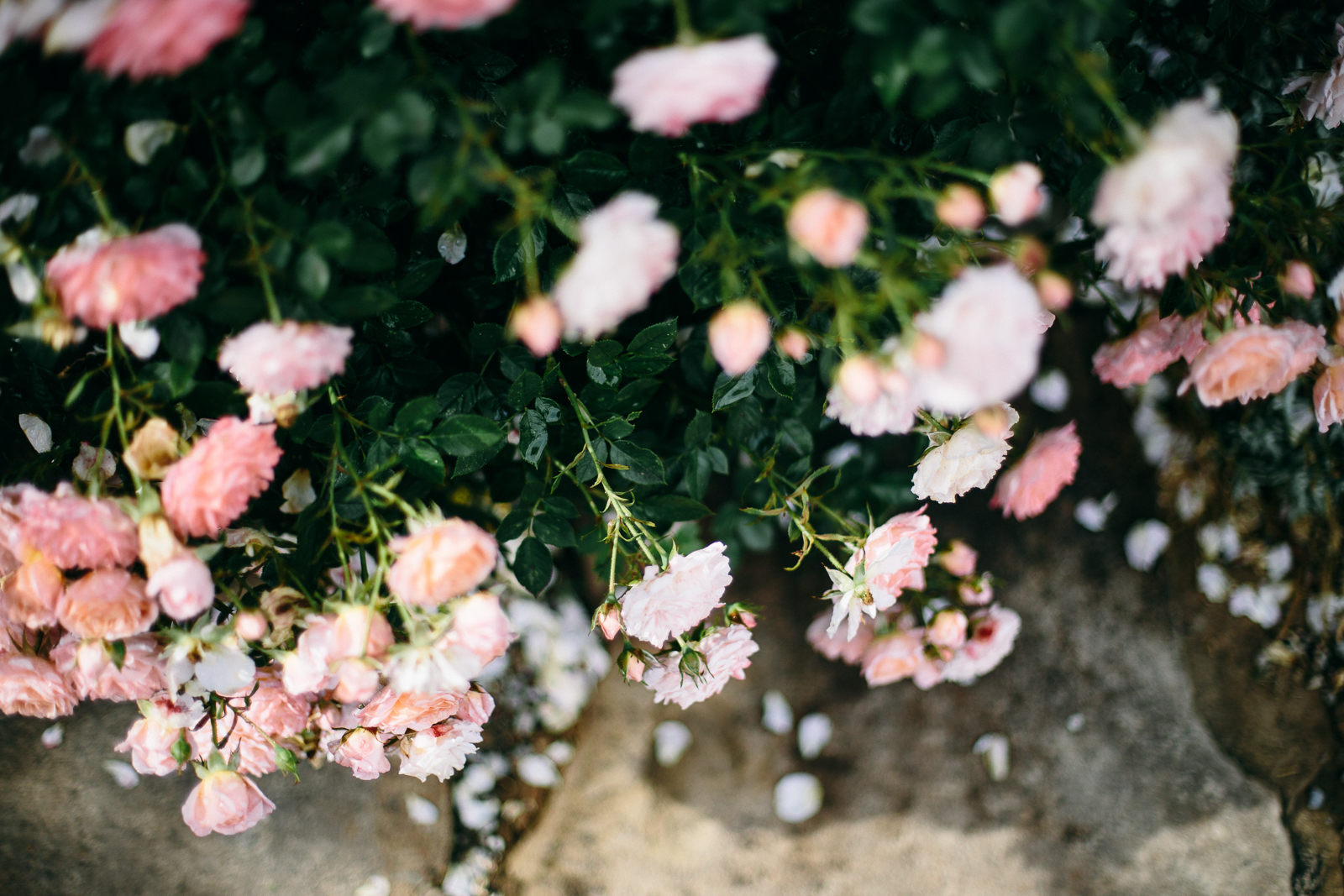 foxografie_hochzeitsreportage_nürnberg_IMG_9187