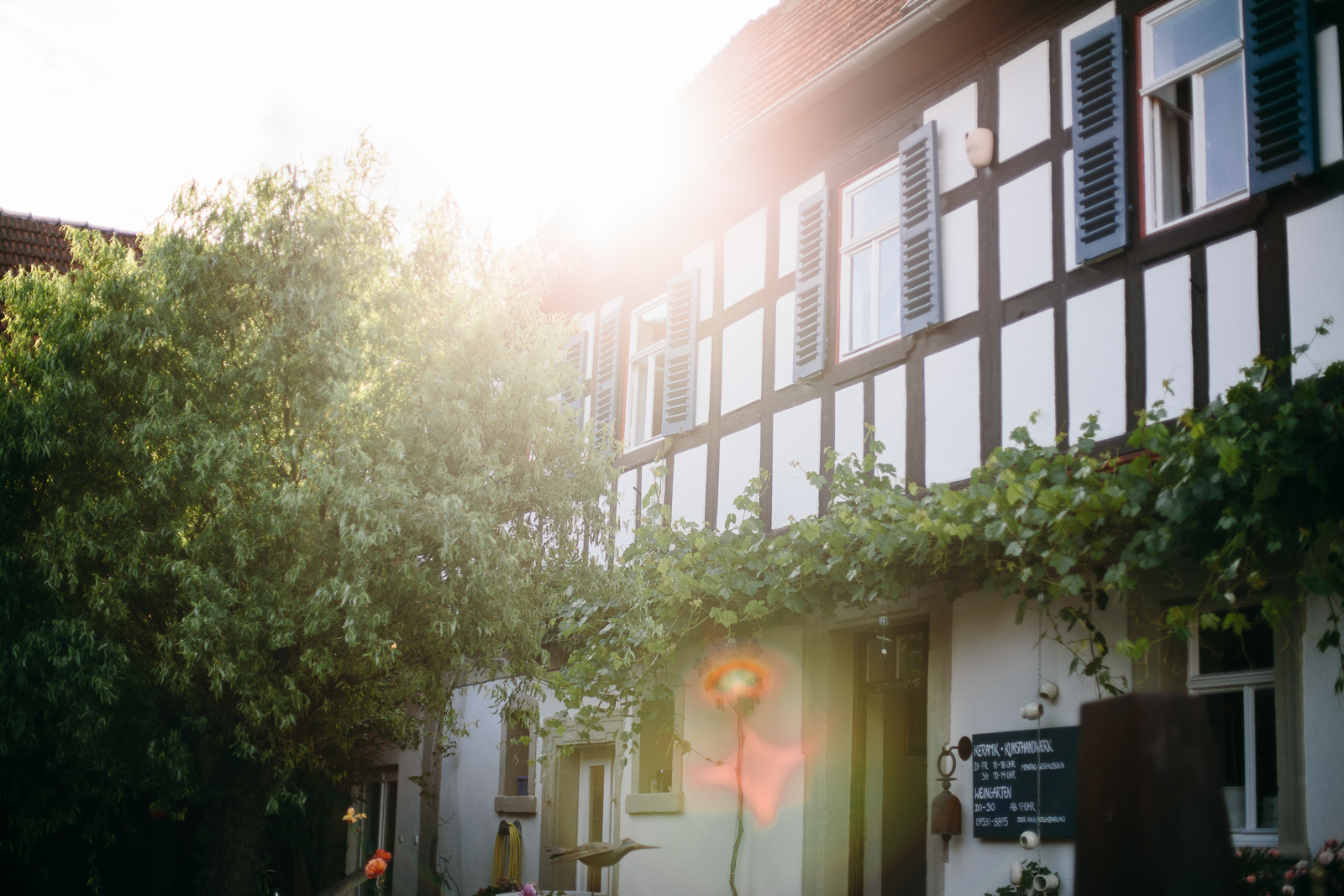 foxografie_hochzeit_weingarten_jesserndorfimg_9505